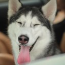 Chompooh_BA