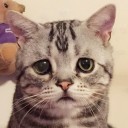 สมาชิกหมายเลข 3484044