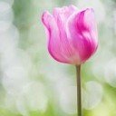 สมาชิกหมายเลข 803124