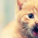 สวัสดีชาวโลกข้ามาจากดาวยูเรก้า