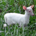 สมาชิกหมายเลข 987964