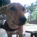 สมาชิกหมายเลข 988134