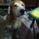 สมาชิกหมายเลข 988158