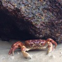 สมาชิกหมายเลข 3029212