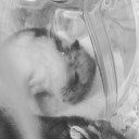 สมาชิกหมายเลข 3484443