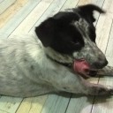 สมาชิกหมายเลข 805671