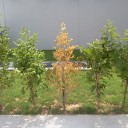 สมาชิกหมายเลข 1312121