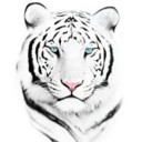 สมาชิกหมายเลข 1613502