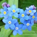 เกือบลืมไปแล้ว