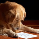 สมาชิกหมายเลข 928679