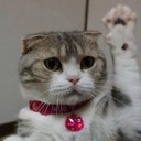 สมาชิกหมายเลข 3384937