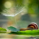 สมาชิกหมายเลข 740473