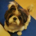 วันใสใส