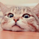 โสดรอบสอง