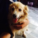 สมาชิกหมายเลข 996003