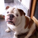 สมาชิกหมายเลข 2228133