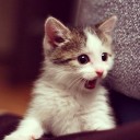 สมาชิกหมายเลข 2228453