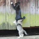 สมาชิกหมายเลข 2620678