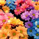 สมาชิกหมายเลข 2606814