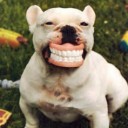 สมาชิกหมายเลข 900789