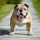 สมาชิกหมายเลข 2228890