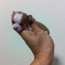 สมาชิกหมายเลข 3031144