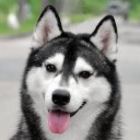 สมาชิกหมายเลข 3486983