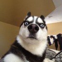 สมาชิกหมายเลข 990536