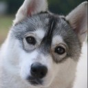 สมาชิกหมายเลข 1814590