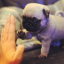 สมาชิกหมายเลข 914223