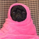 ฉันว่าฉันสวยนะ