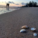 สมาชิกหมายเลข 1512741