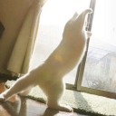 สมาชิกหมายเลข 1328895