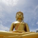 สมาชิกหมายเลข 726470