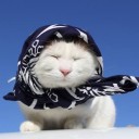 สมาชิกหมายเลข 990722