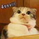สมาชิกหมายเลข 2561808