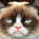 สมาชิกหมายเลข 3032292