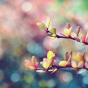 สมาชิกหมายเลข 1395306