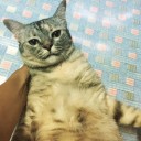 สมาชิกหมายเลข 2009848