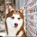 สมาชิกหมายเลข 3032620