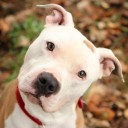 สมาชิกหมายเลข 1547724