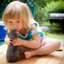 สมาชิกหมายเลข 2623136