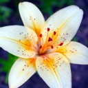 สมาชิกหมายเลข 834914