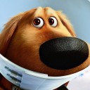 สมาชิกหมายเลข 991869