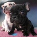 สมาชิกหมายเลข 991879