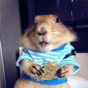 สมาชิกหมายเลข 1799858