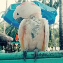 สมาชิกหมายเลข 2209140