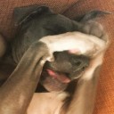 สมาชิกหมายเลข 2231206