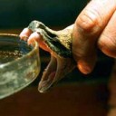 สมาชิกหมายเลข 3489667