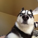 กล่องเก็บแสง